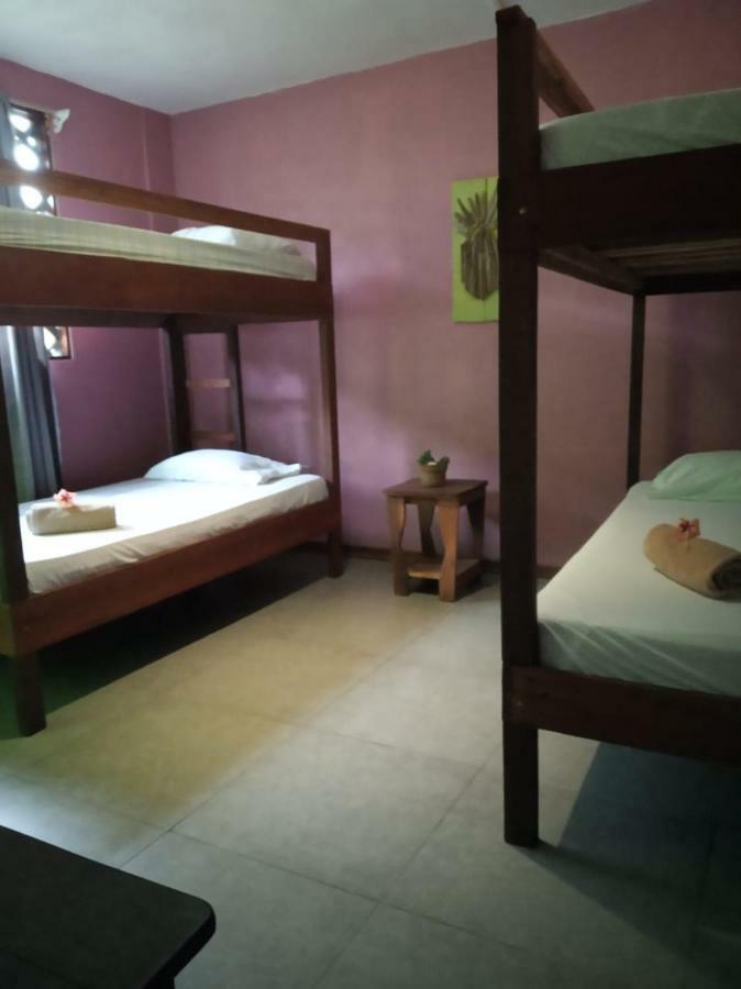 Lodge Tortuguero Adventures Beach House *