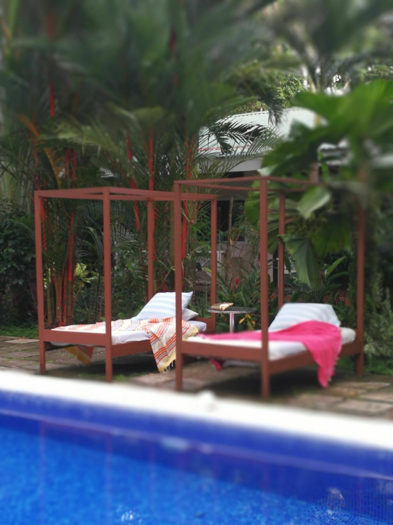 Vip Playa Negra