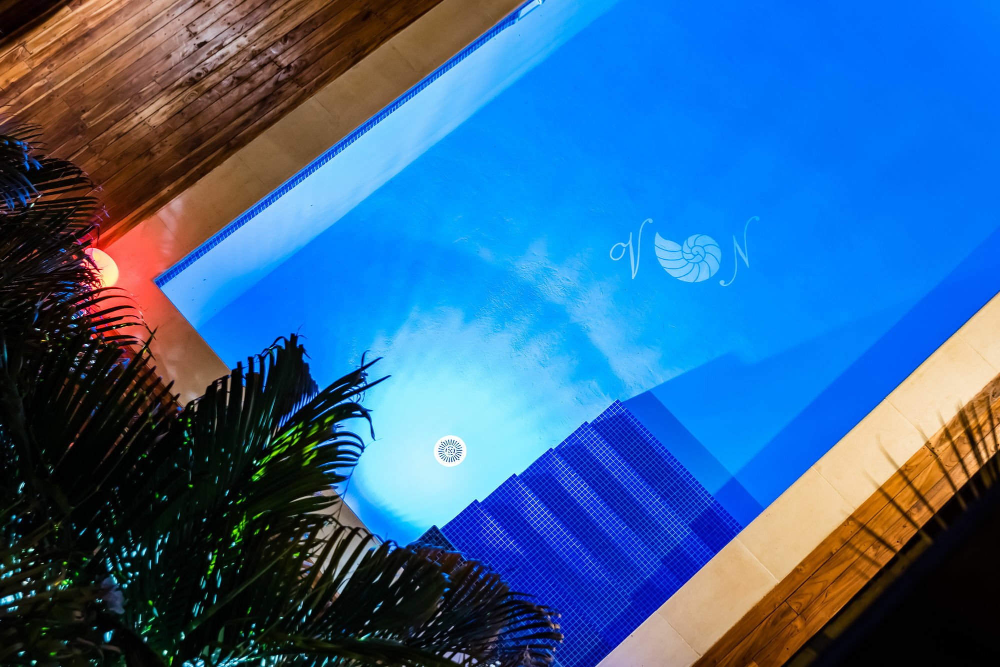 Nautilus