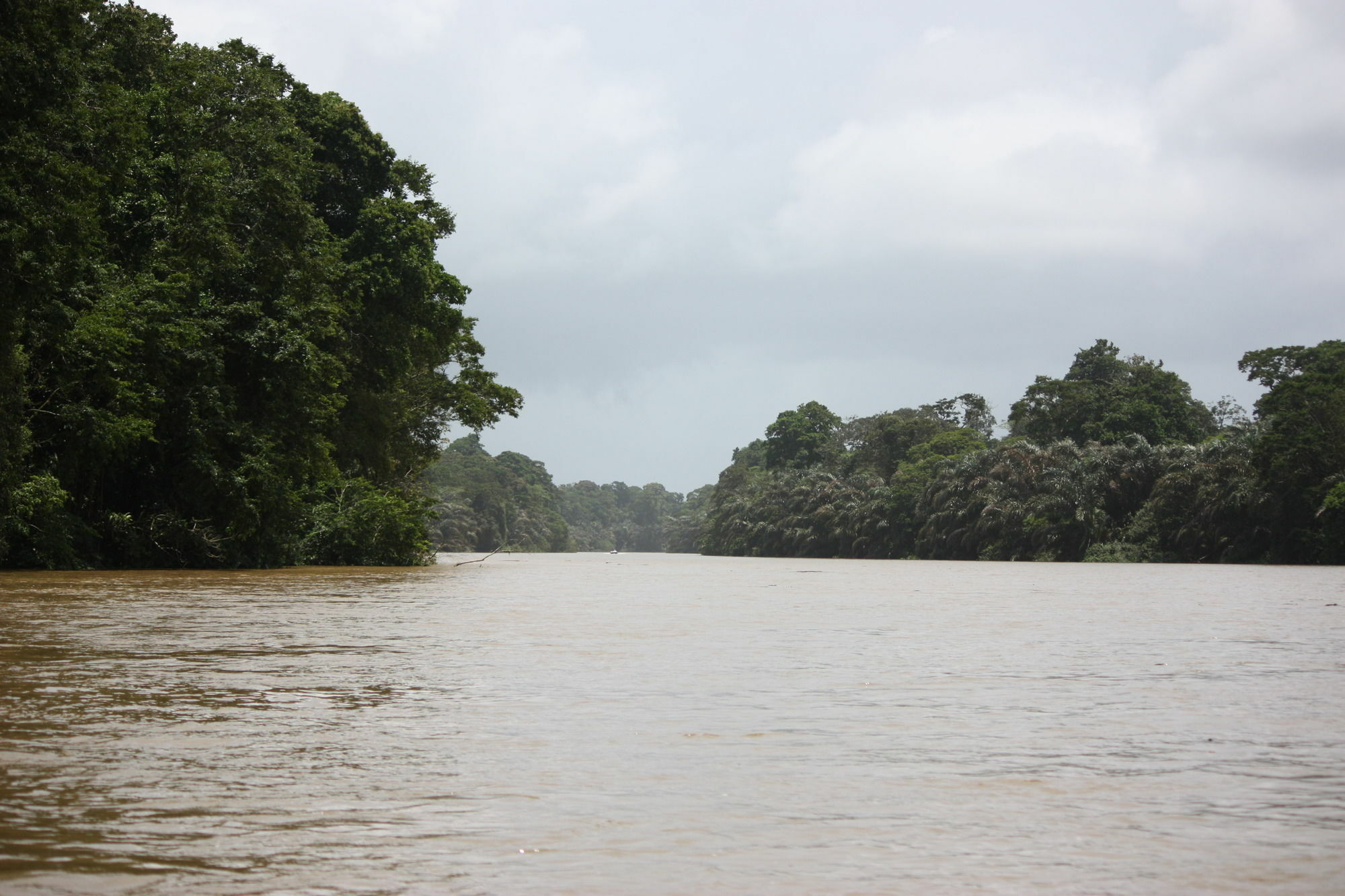Rana Roja Hotel Tortuguero