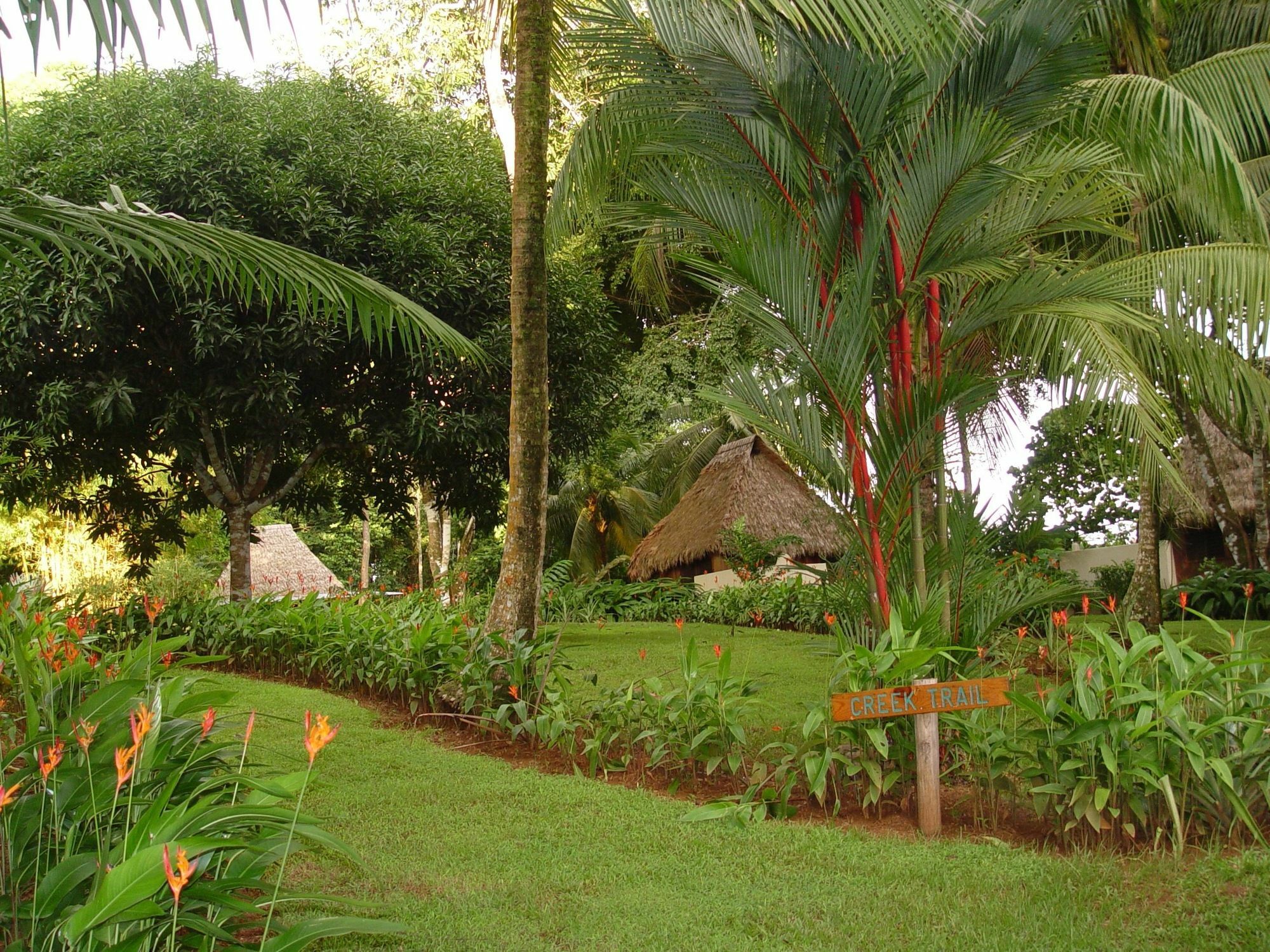 Bosque Del Cabo Rain Forest Puerto Jimenez