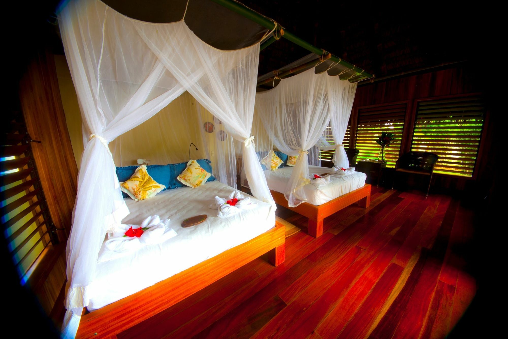 Bosque Del Cabo Rain Forest