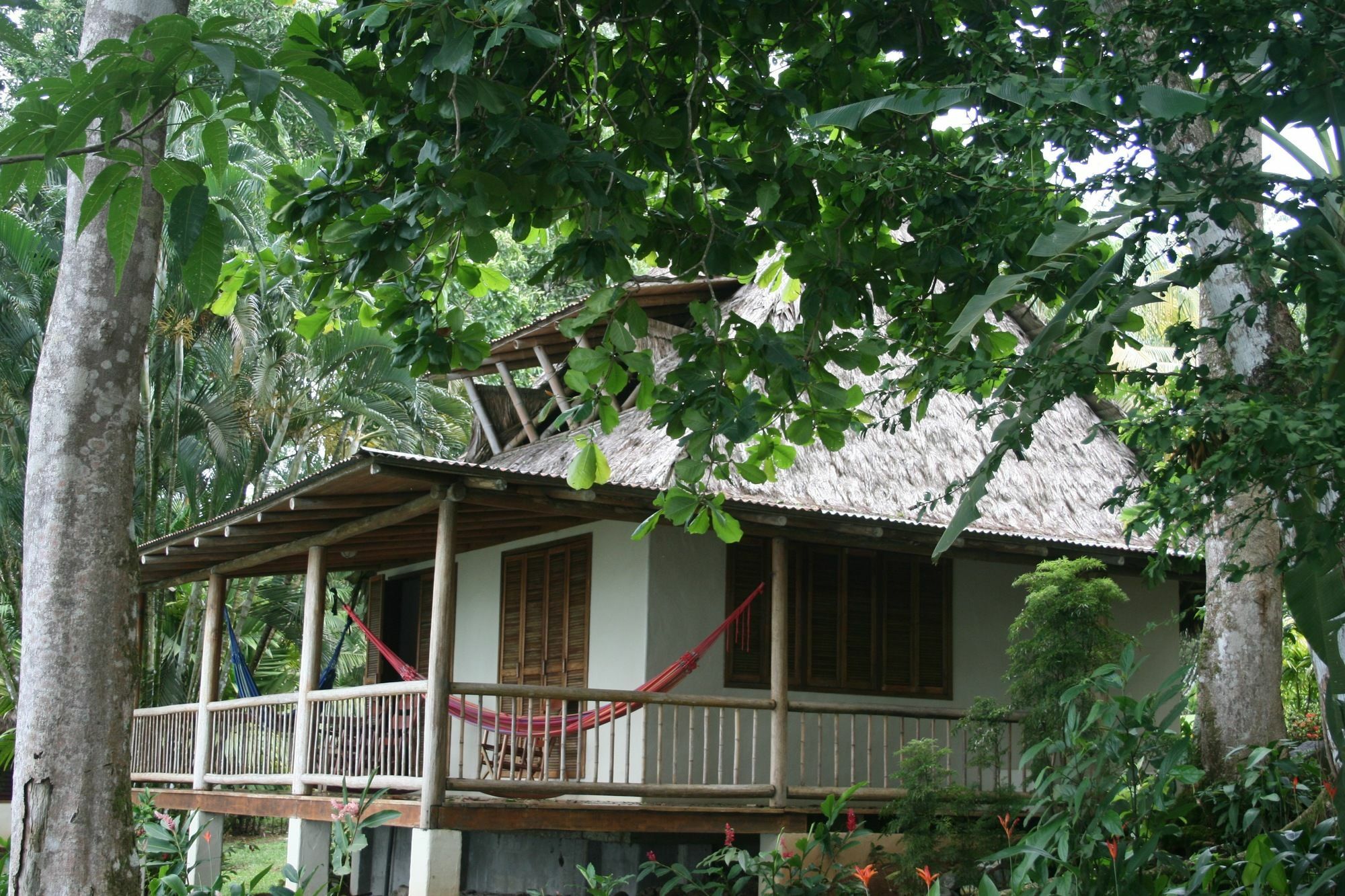 Bosque Del Cabo Rain Forest