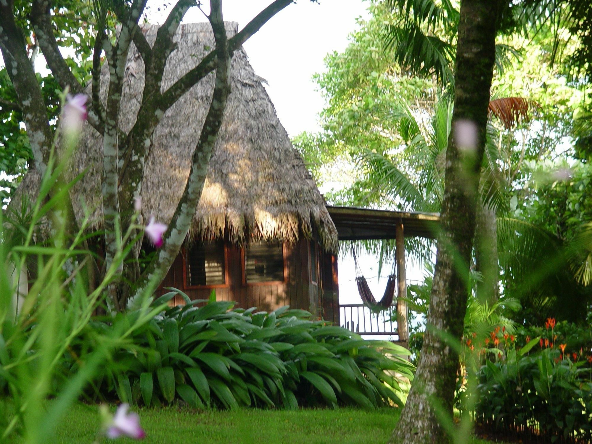Bosque Del Cabo Rain Forest Hotel