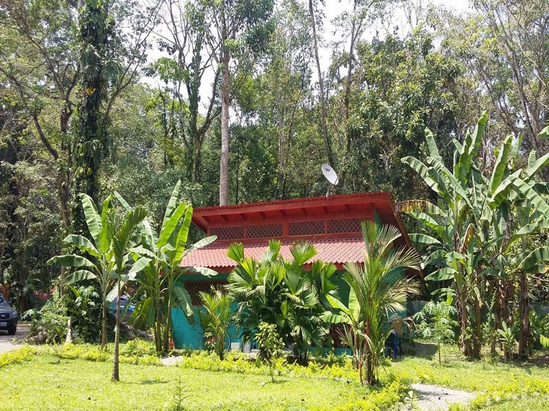 Holiday home Colores Del Caribe Dependencia Del Casa Merlin *