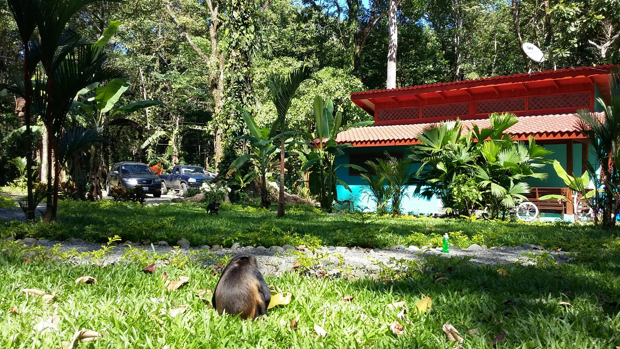 Holiday home Colores Del Caribe Dependencia Del Casa Merlin *