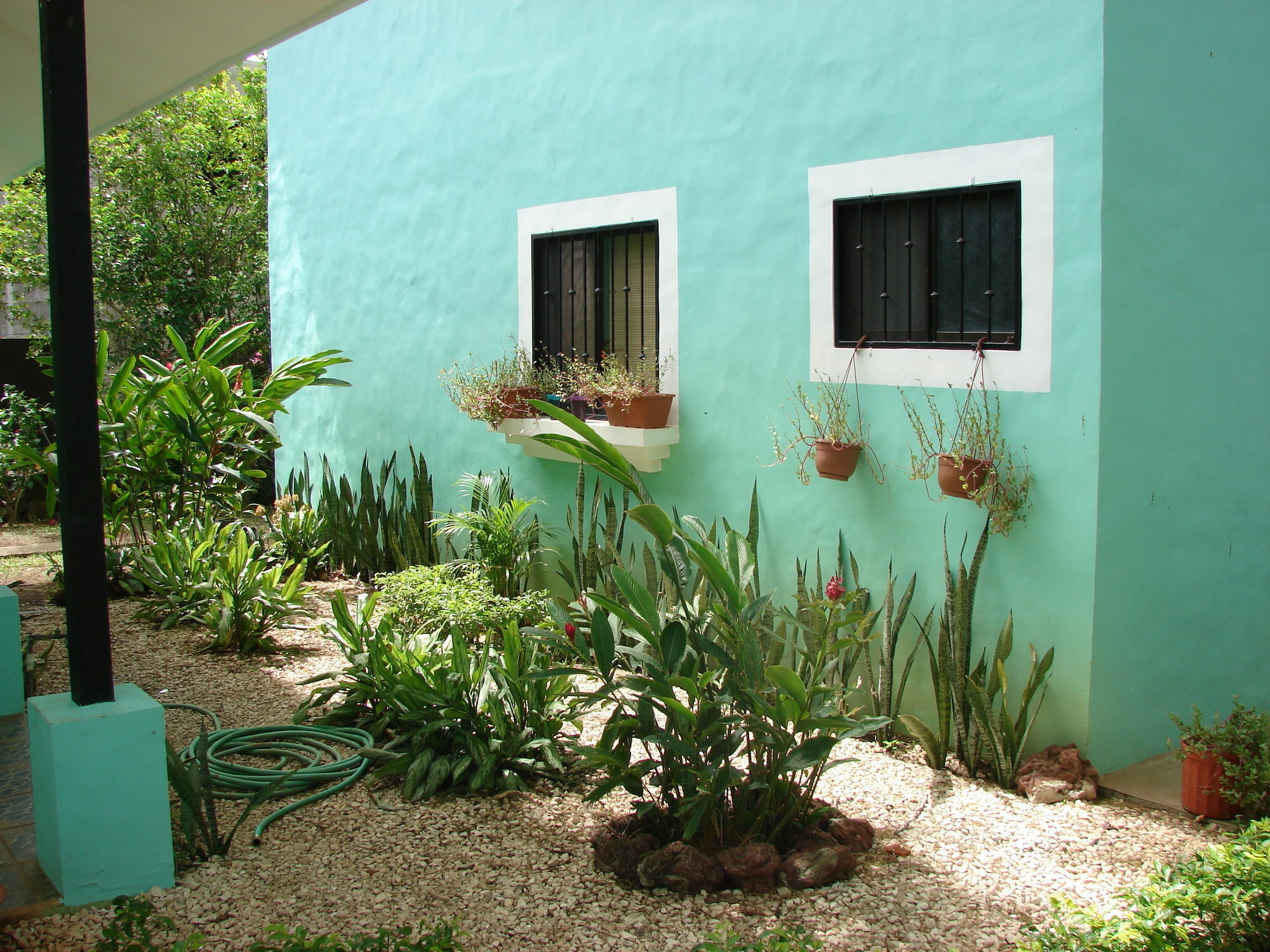 Green Forest Of Beach Studios Aparthotel Playas del Coco