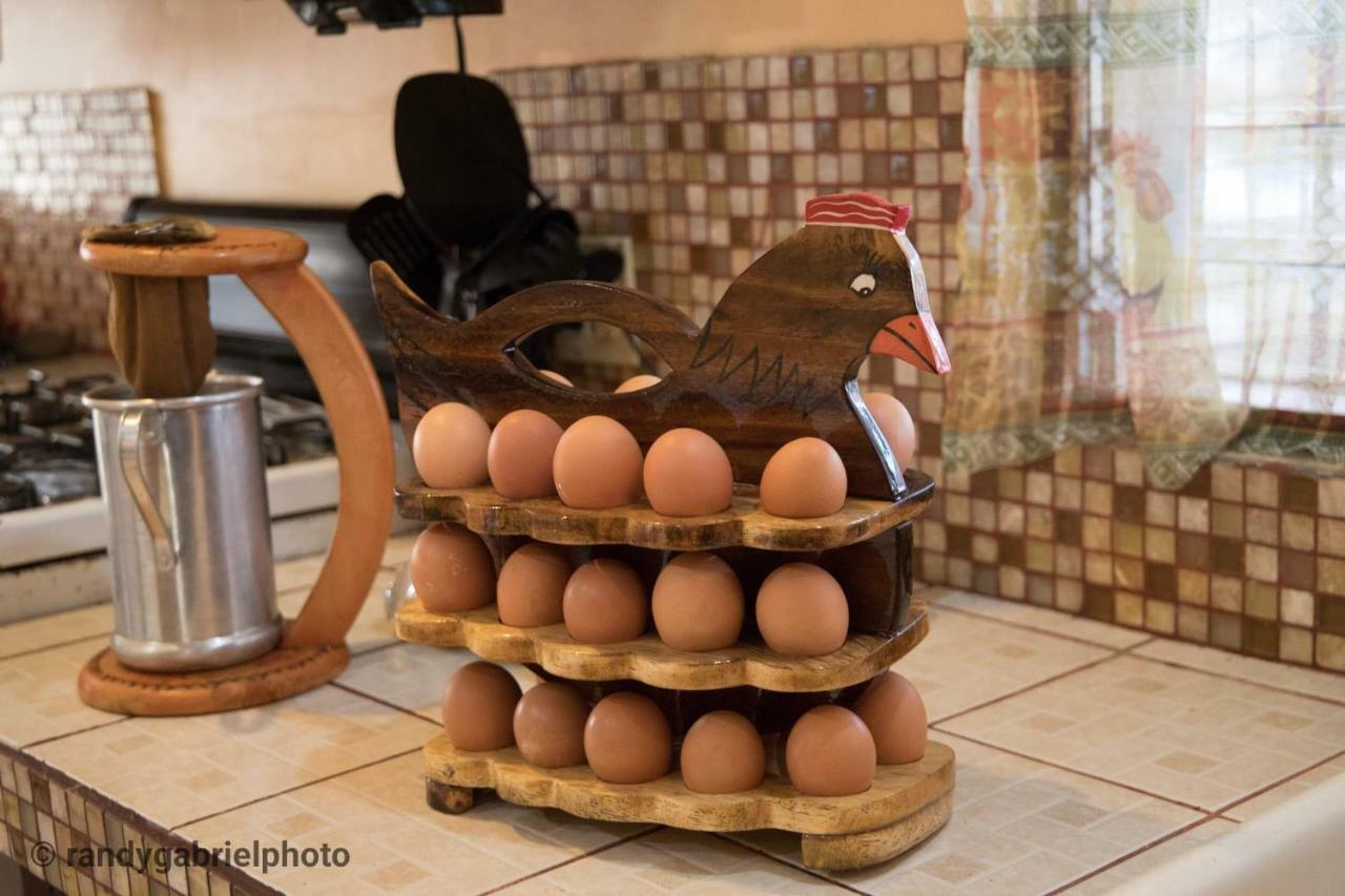 Alta Bed & Breakfast Barranca (Puntarenas)