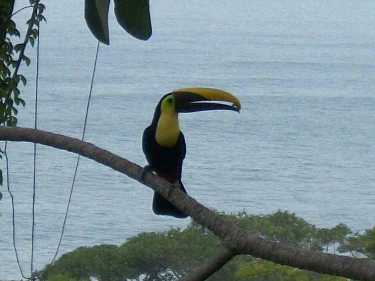 Holiday home Kiskadee Casa Quepos