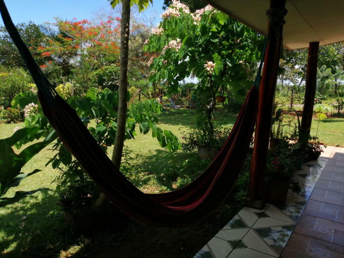 Gitana Corcovado, Y Tour Operador Hotel Drake Bay
