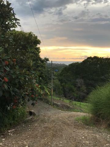 Villa Lambeau Ocean View 1