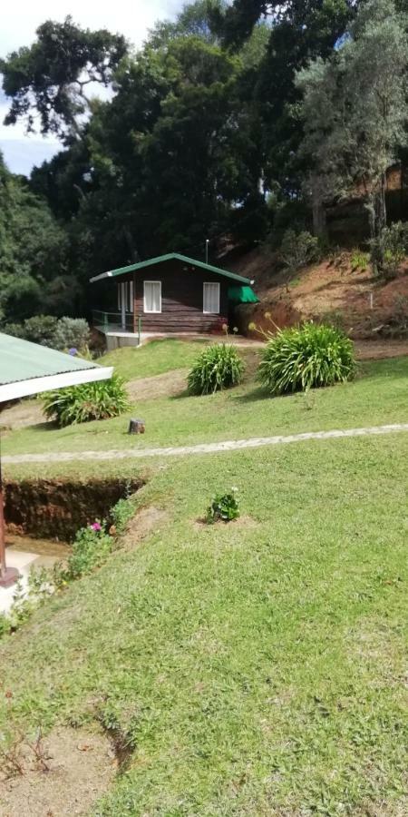 Miriam's Quetzals Bed & Breakfast *