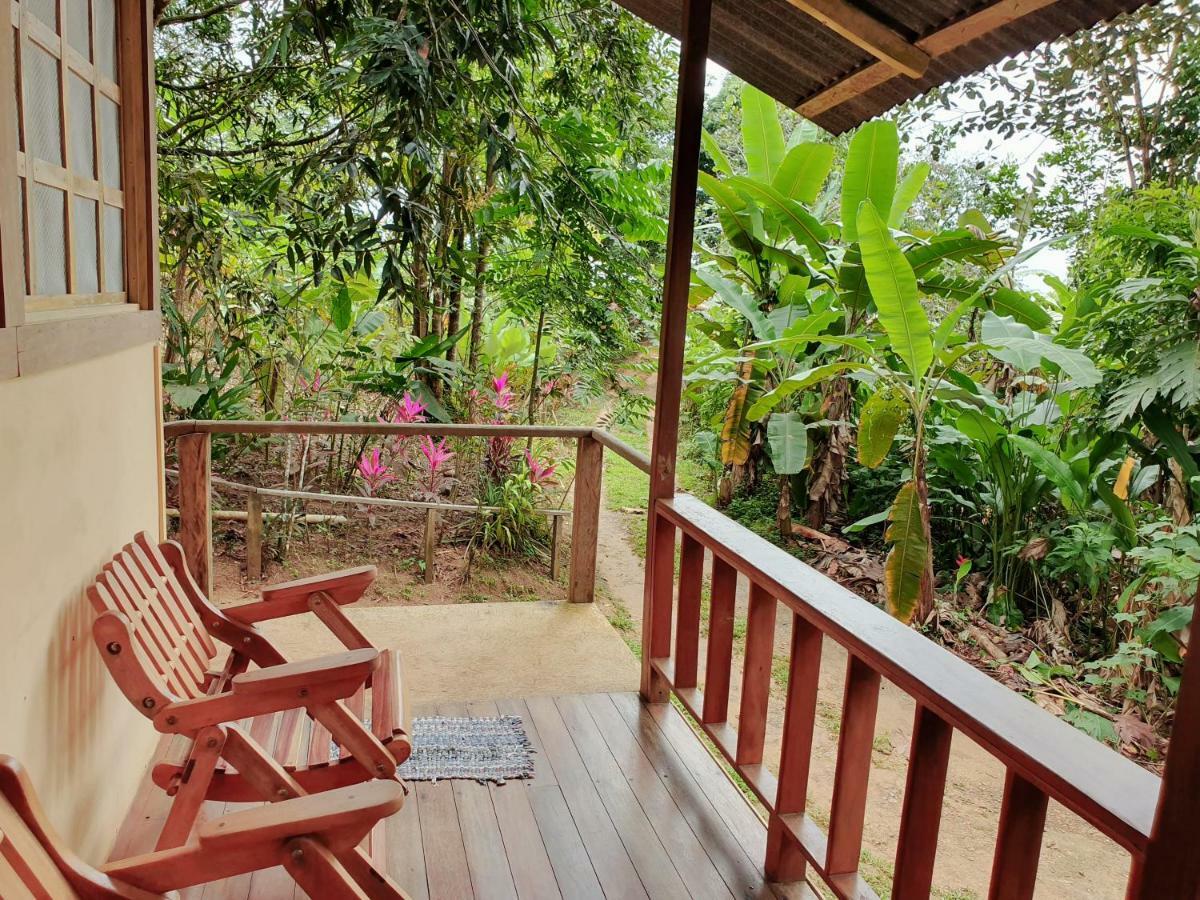 Bed & Breakfast Casa Horizontes Corcovado