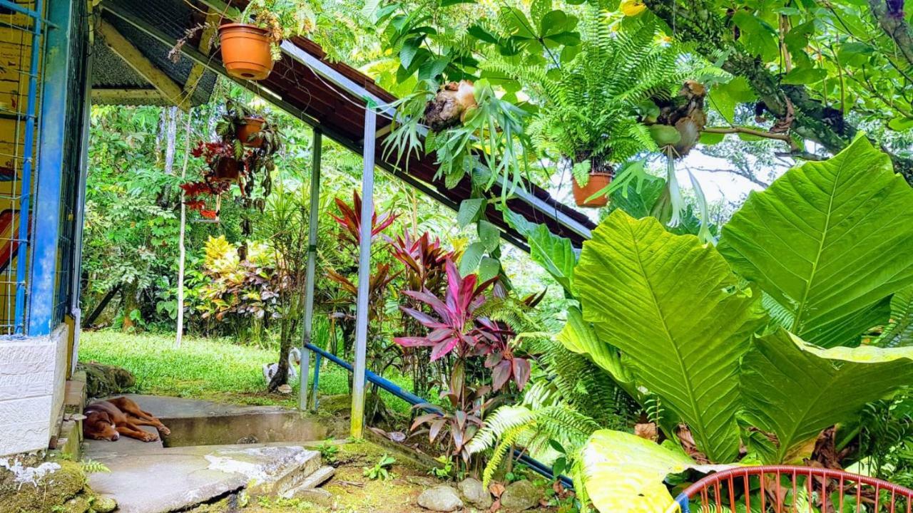 Guest house Y Cabinas Anita-and Rafting Tour! Siqurres Da Alegria