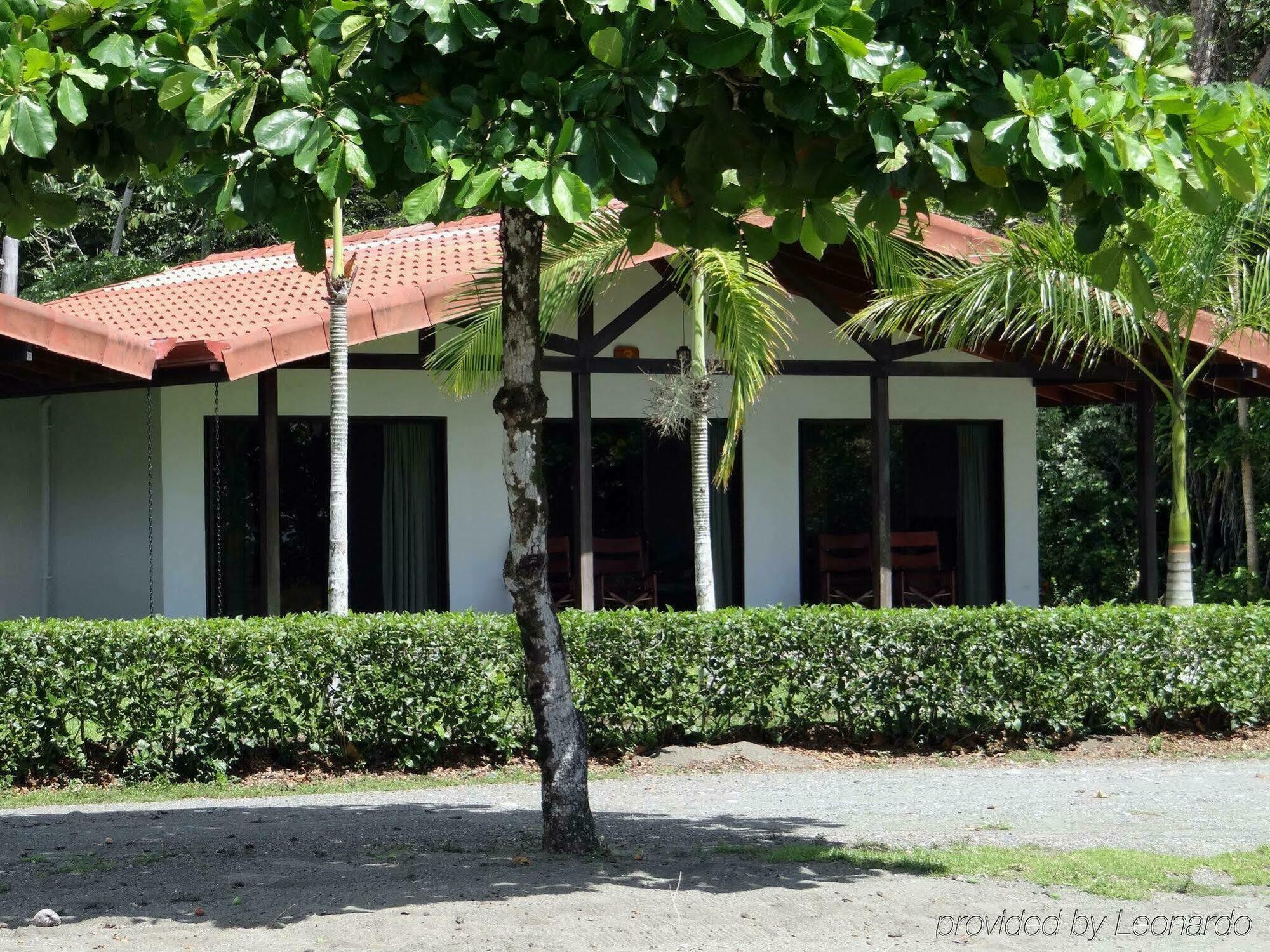 Agua Dulce On The Puerto Jimenez