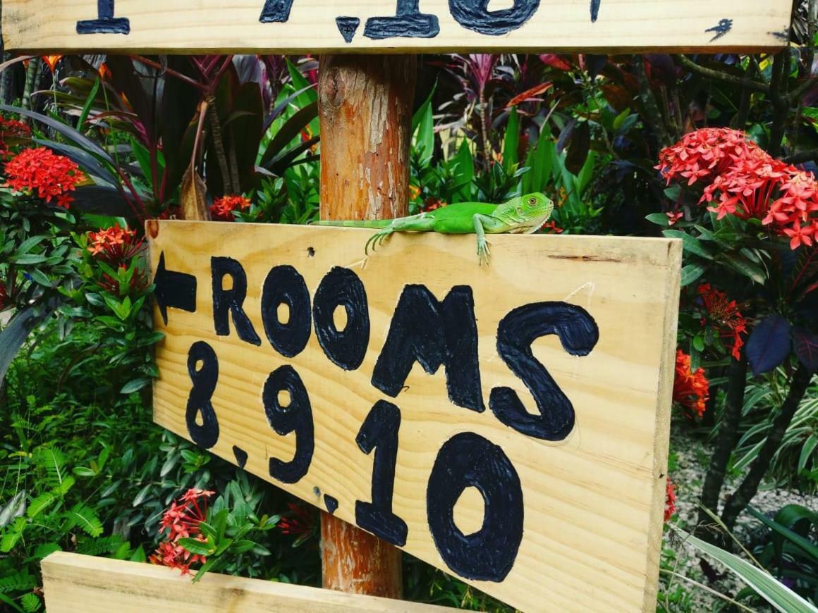 Beach Break Surf Hostel