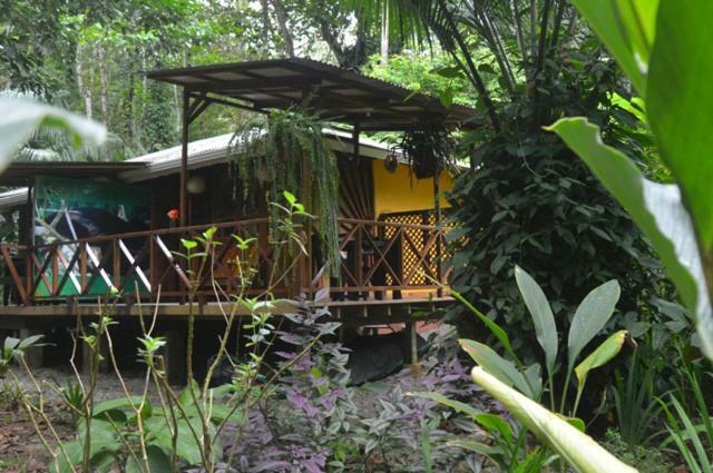 Pachamama Jungle River - Punta Uva 3*