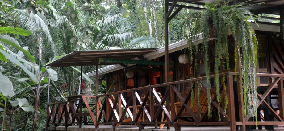Guest house Pachamama Jungle River - Punta Uva Puerto Viejo de Talamanca
