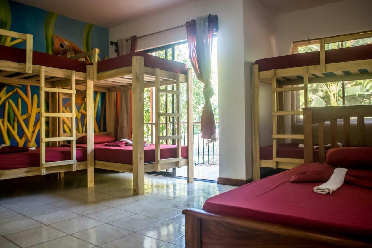 Dos Monos Hostel Santiago (Puntarenas)