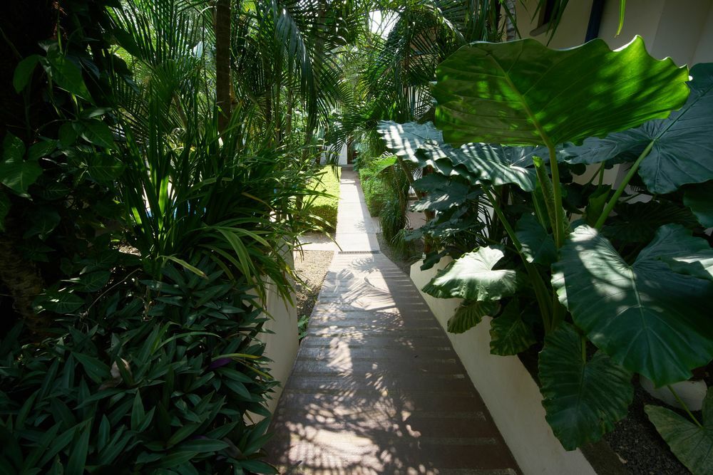 Hotel Blue Tamarindo