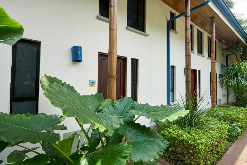 Blue Hotel
