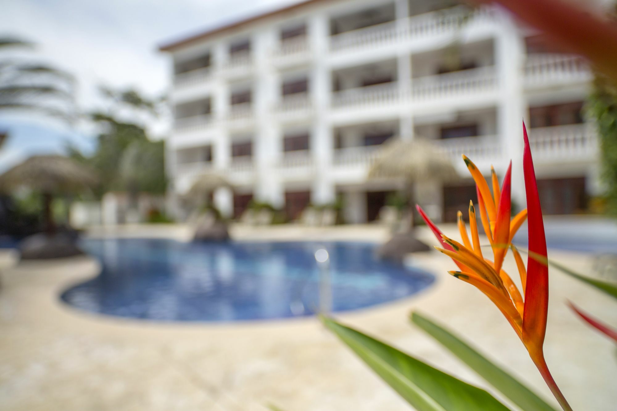 Apartment Paloma Blanca 4d Jaco
