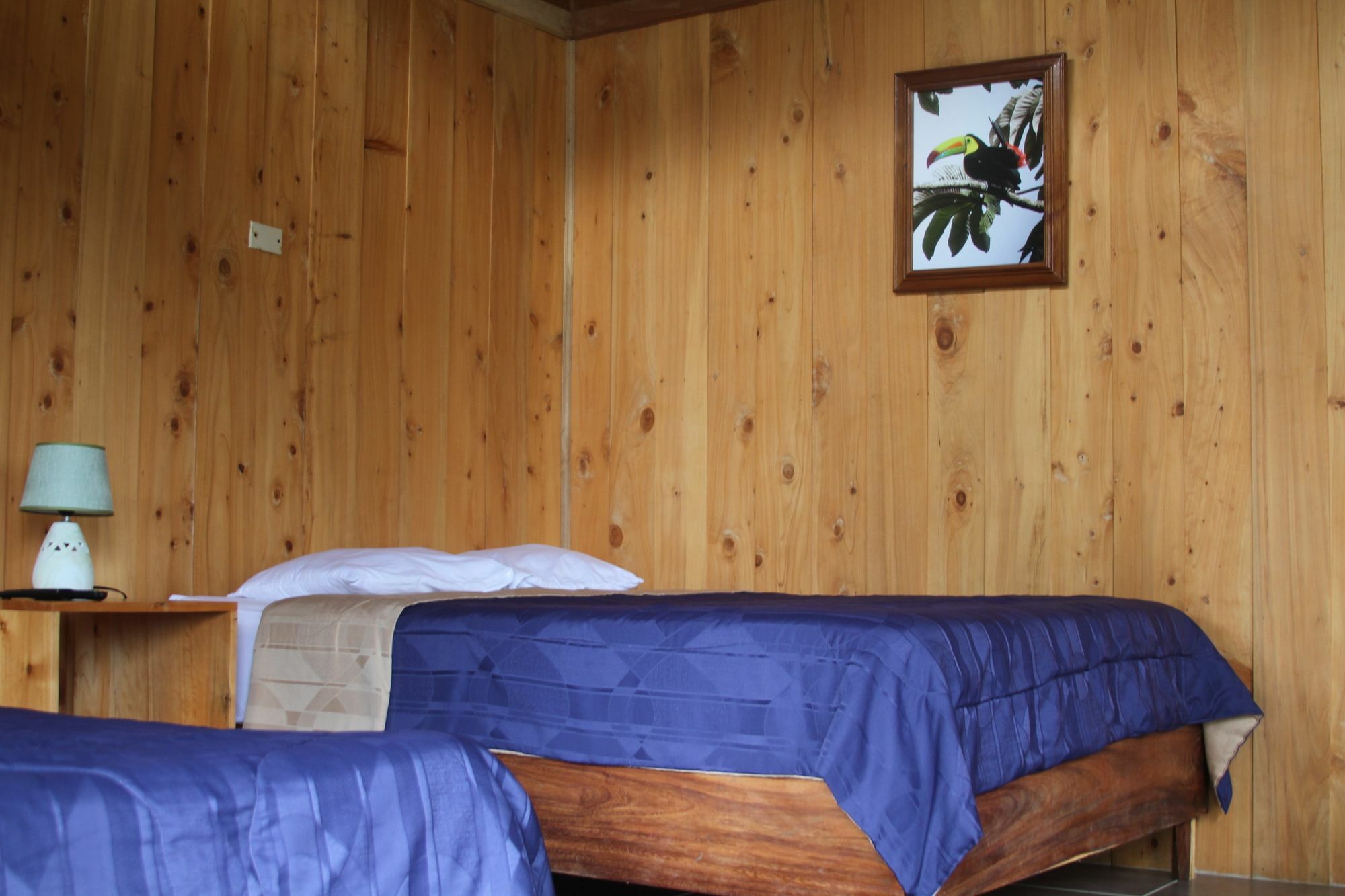Campo Verde B&B - Monteverde Costa Rica Bed & Breakfast