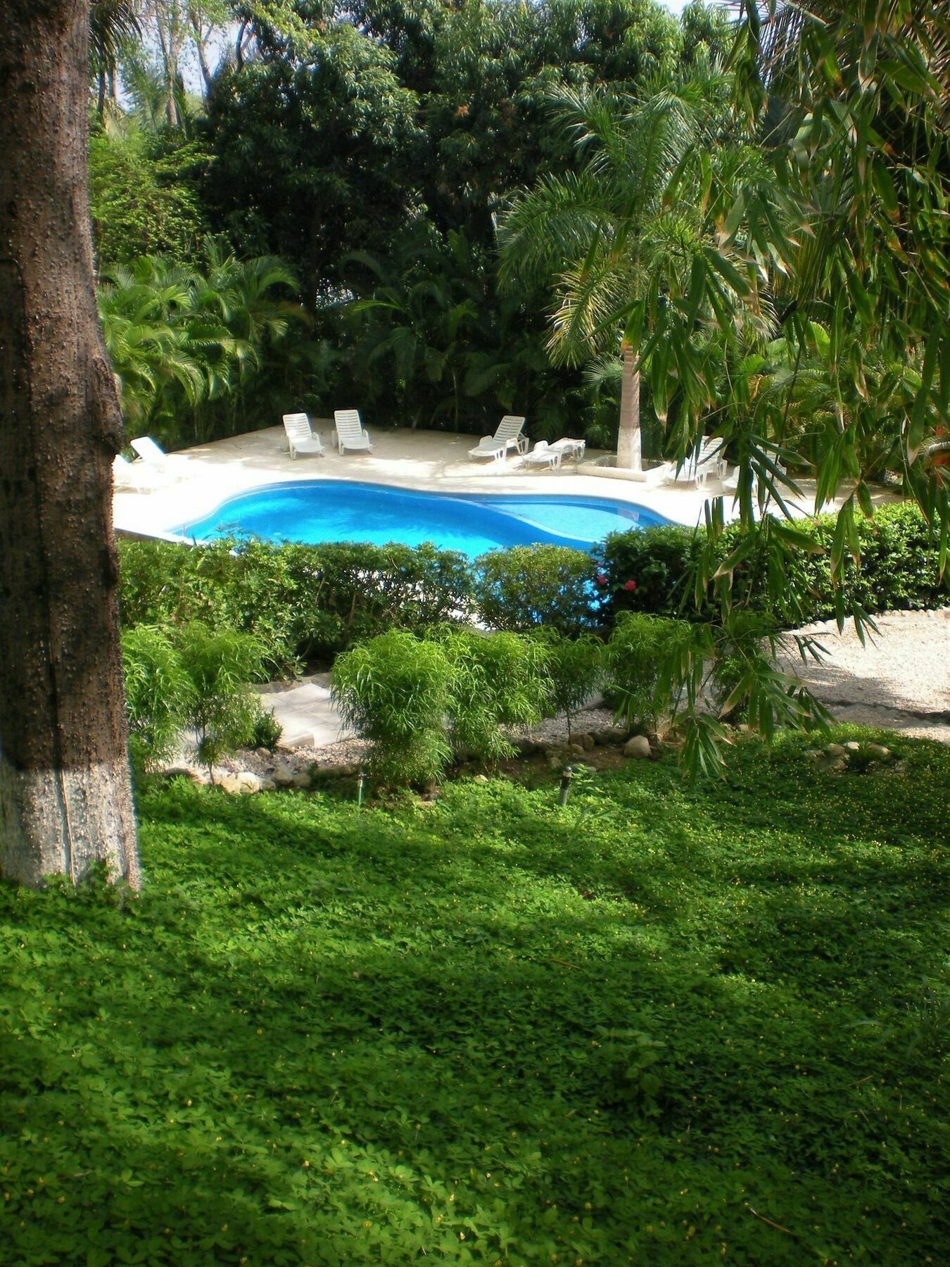 Hotel Esencia And