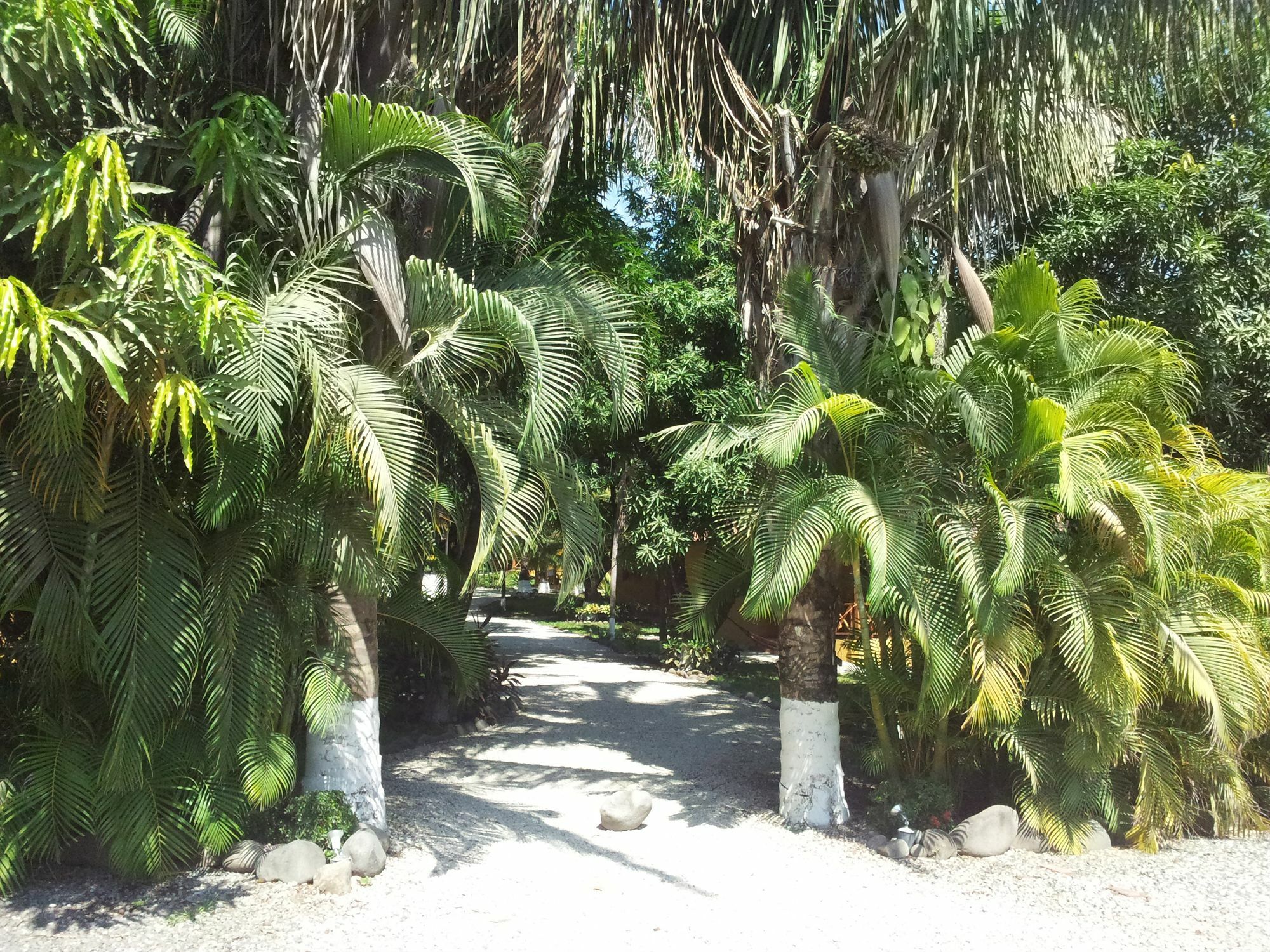 Hotel Esencia And 3*