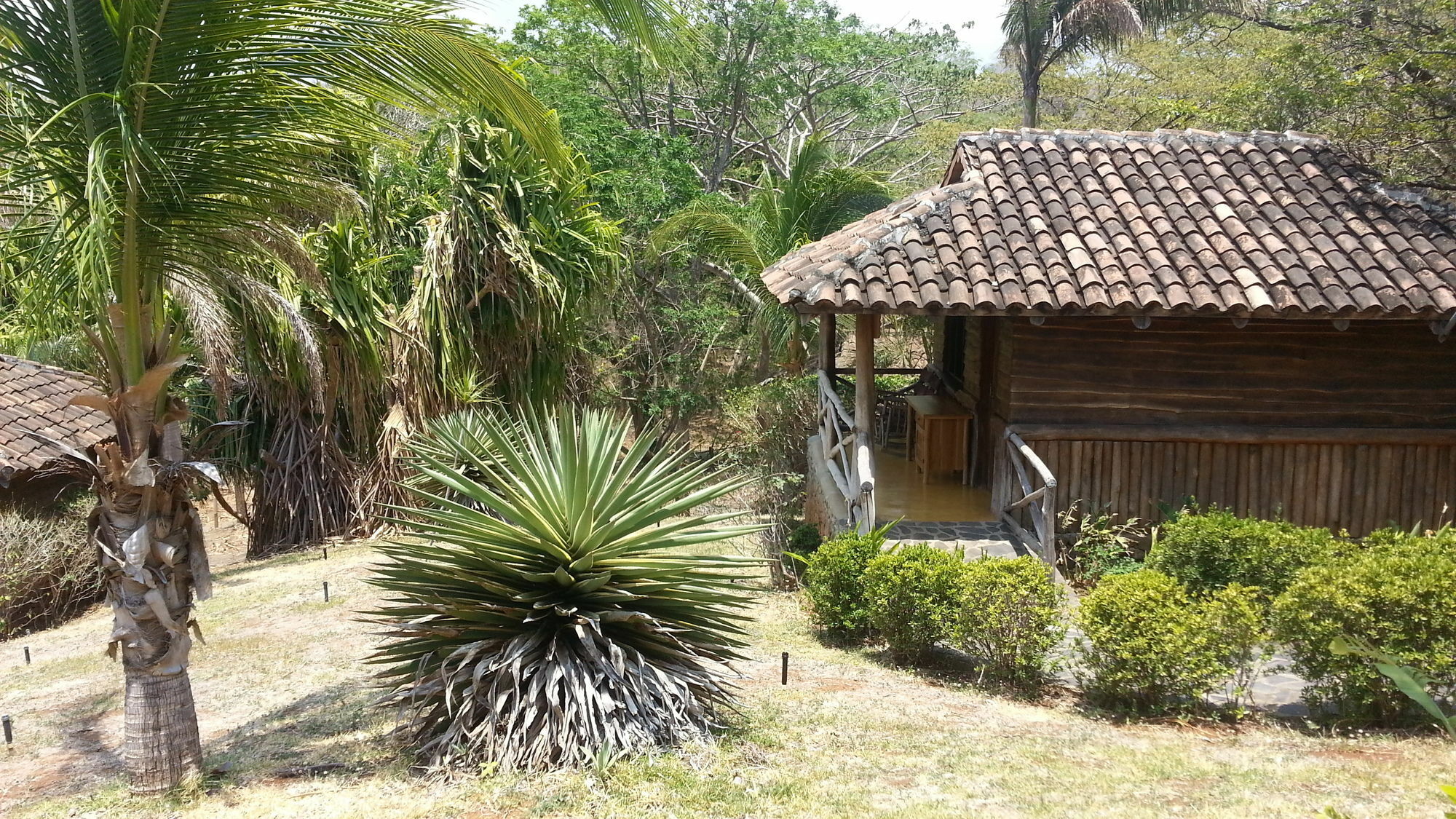 El Sabanero Eco Tamarindo