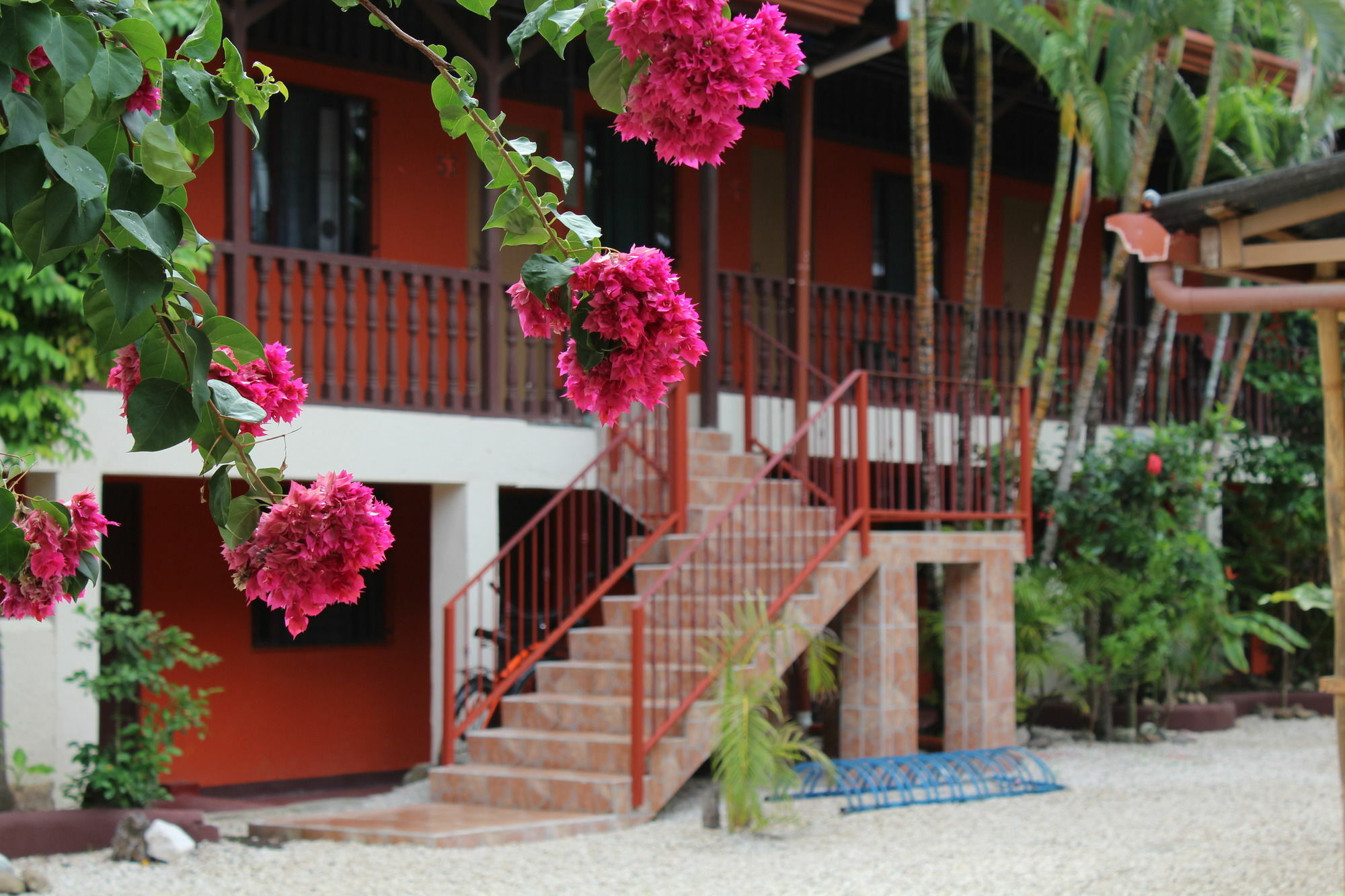 Shared Dorm By Playa *