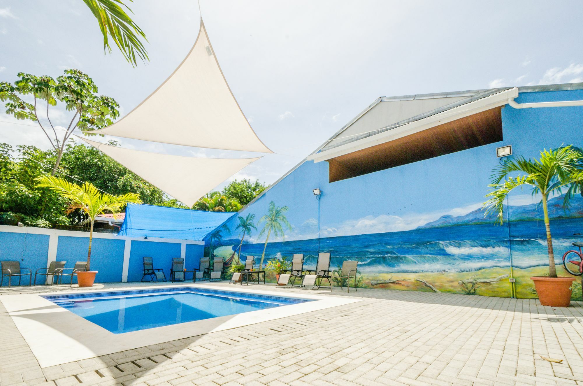 Shared Dorm By Playa Hostel