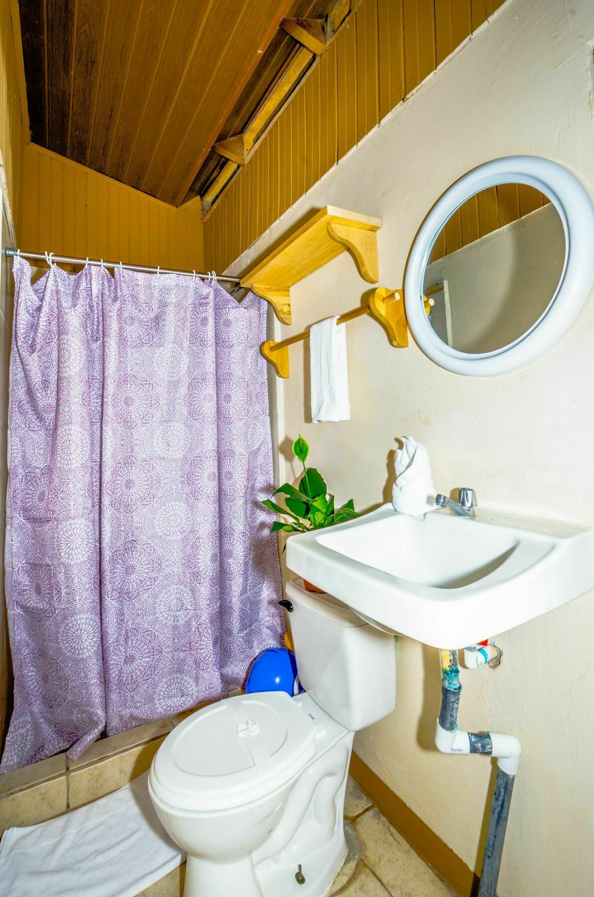 Hostel Shared Dorm By Playa *