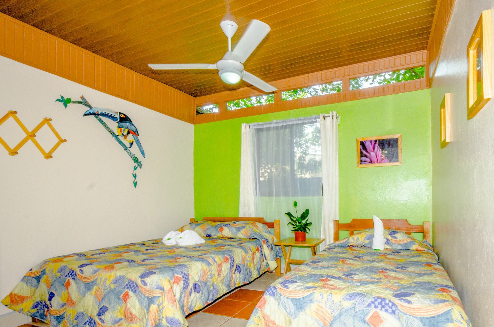 Shared Dorm By Playa Hostel Samara