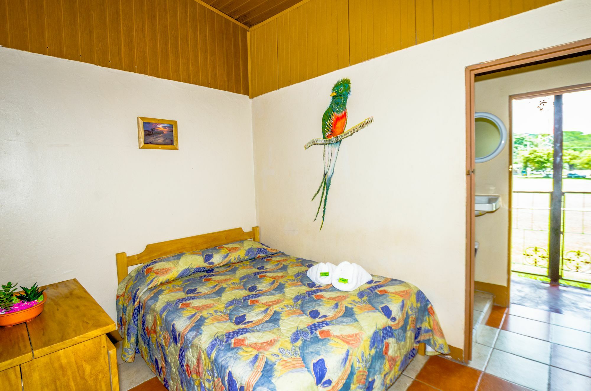 Shared Dorm By Playa Samara