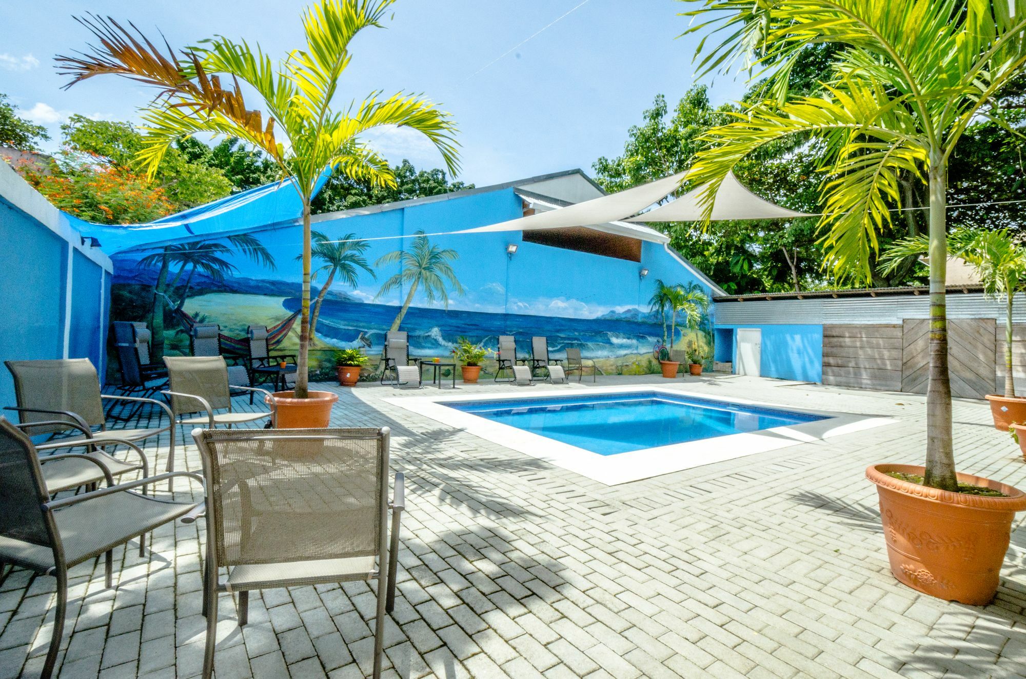 Shared Dorm By Playa Hostel