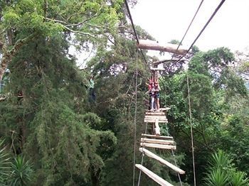 Monte Campana Heredia 3* Birri