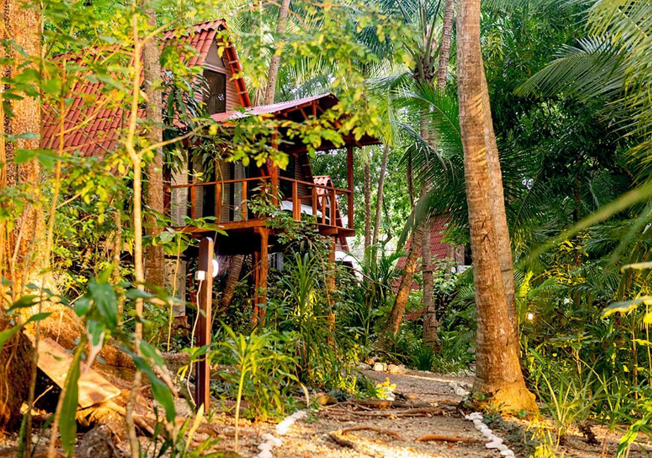 Lodge Calala *