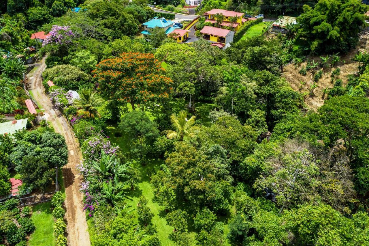 La Terraza Bed & Breakfast 3*