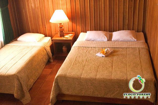 Dantica Cloud Forest Bed & Breakfast San Gerardo de Dota