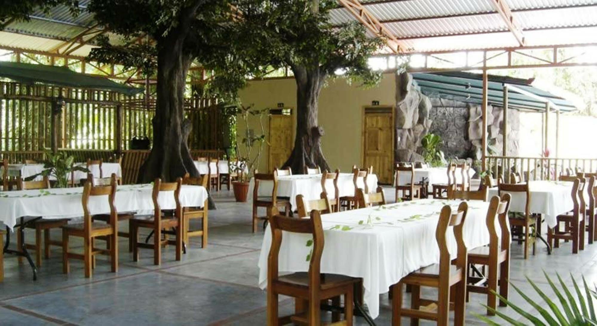 Hotel El Bambu