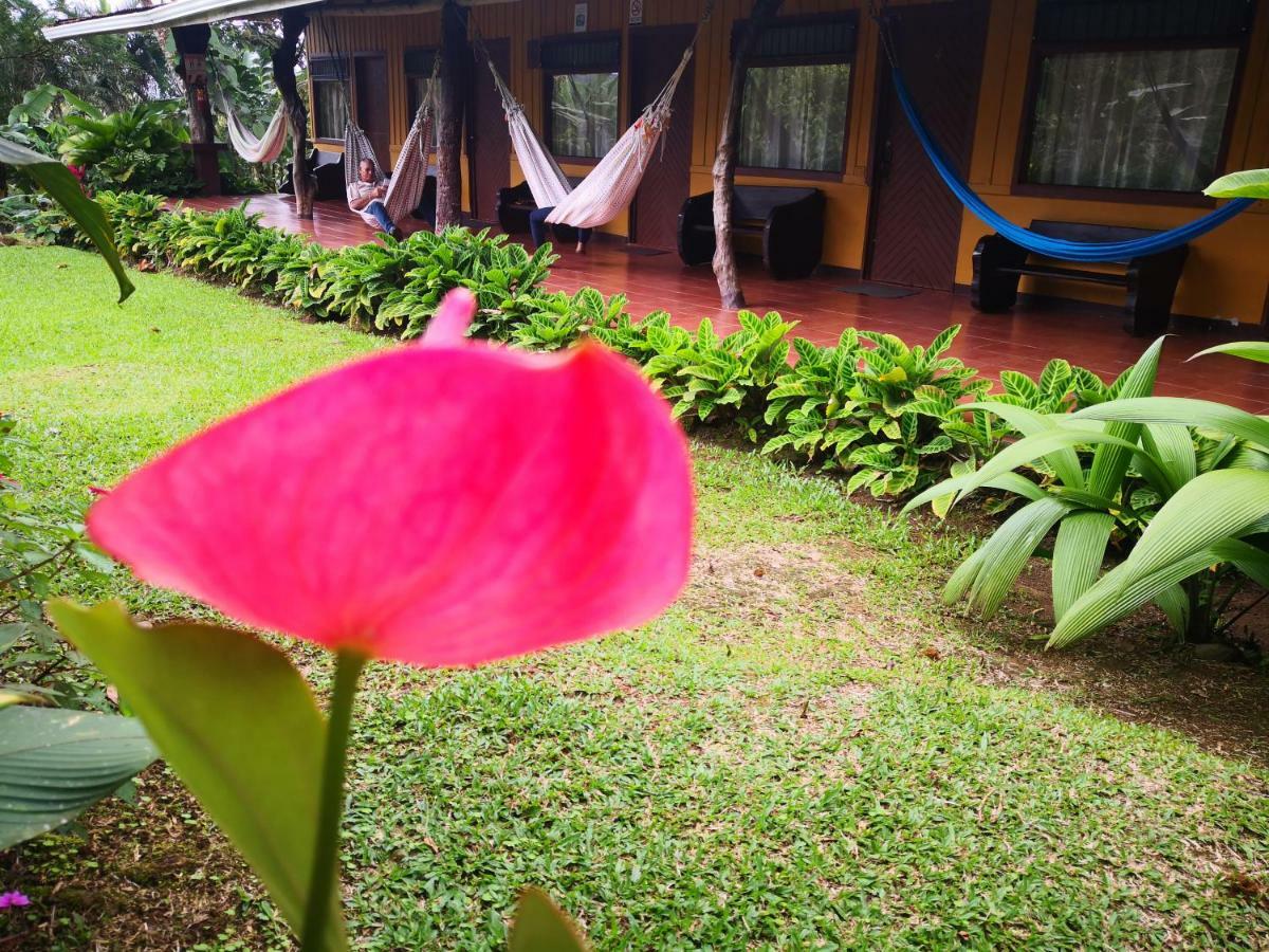 Hotel Catarata Rio Celeste