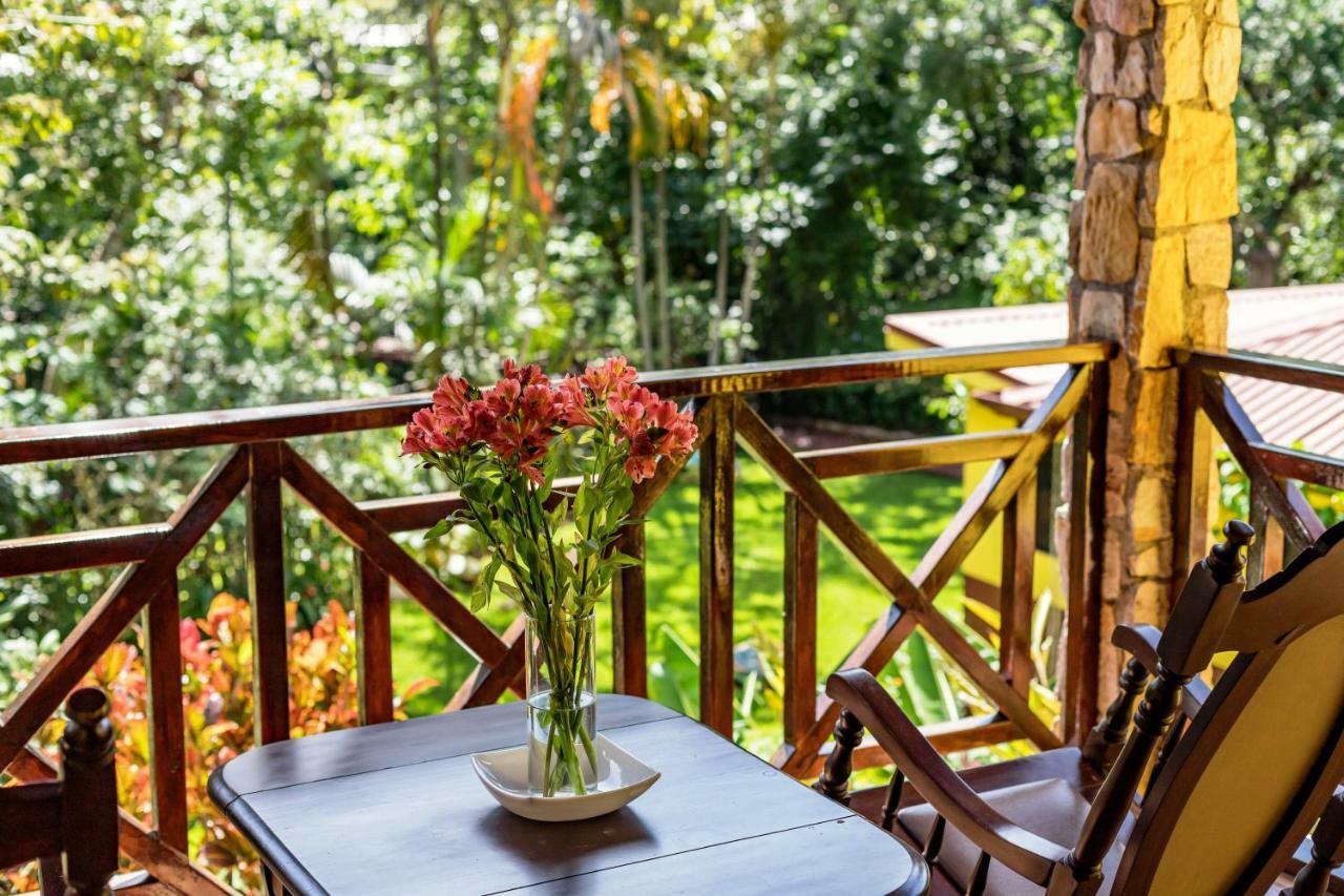La Terraza Bed & Breakfast
