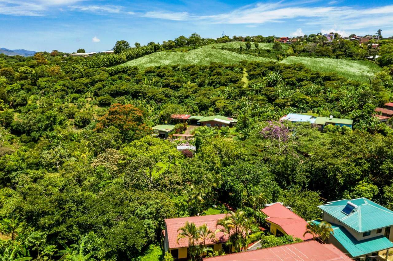 Bed & Breakfast La Terraza 3*
