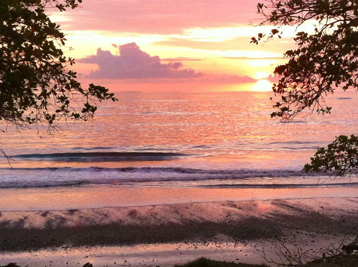 Villa Classy Palms Playa Santa Teresa (Puntarenas)