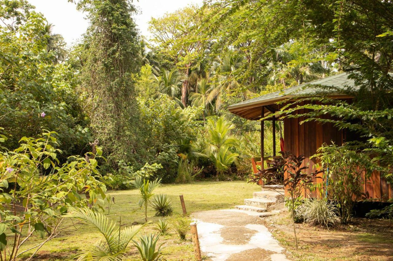 Ache Cahuita