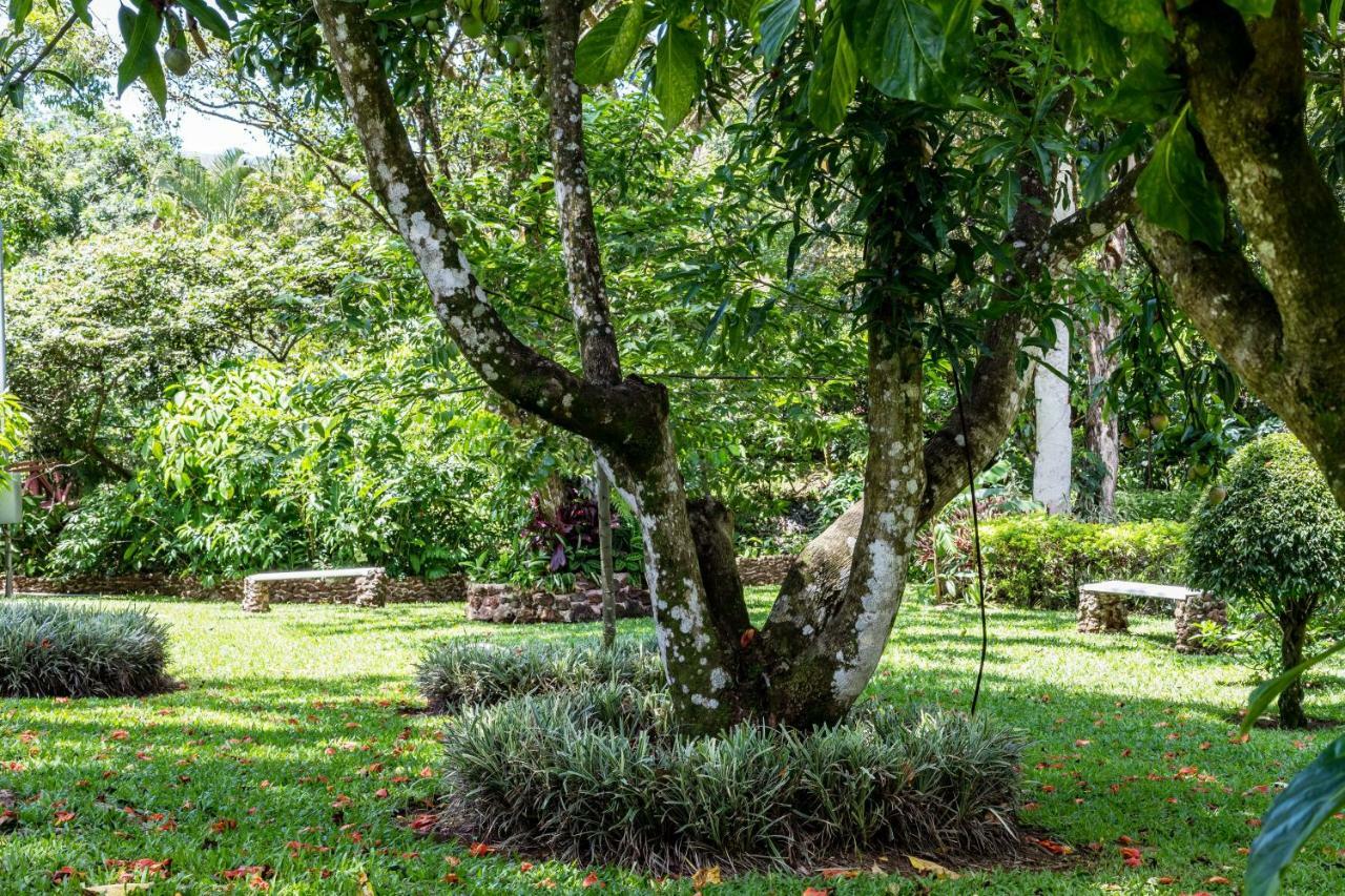 La Terraza Bed & Breakfast Grecia