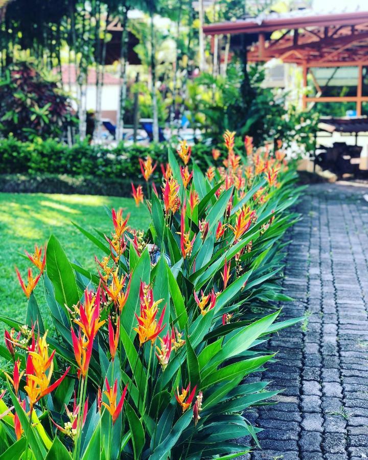 Arenal Backpackers