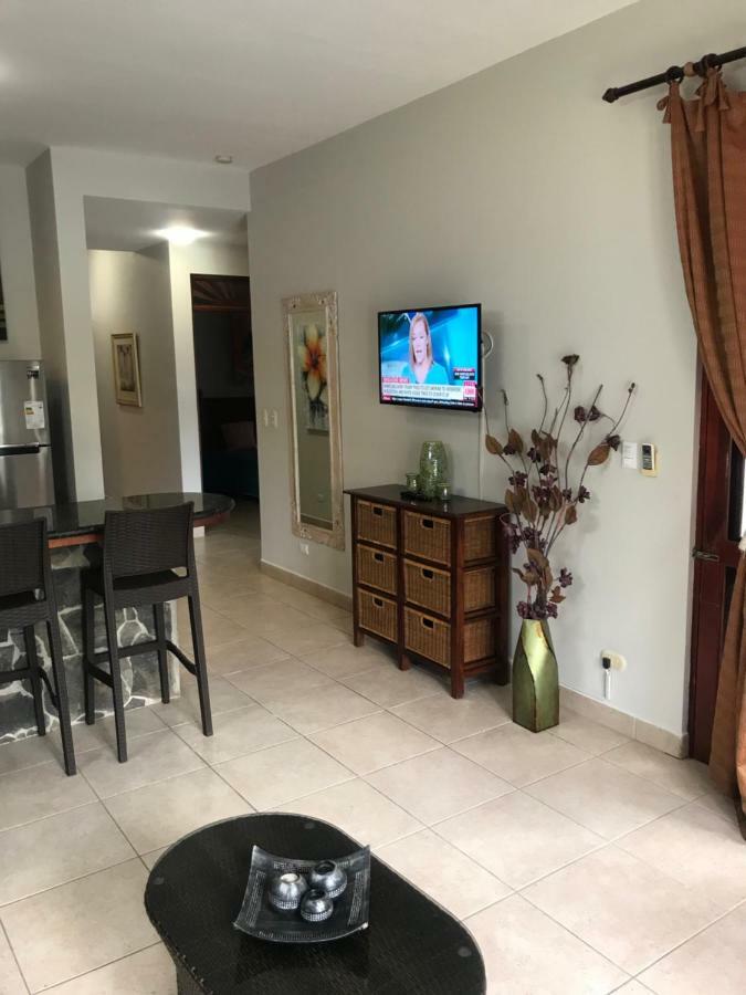 Beachfront In Apartment