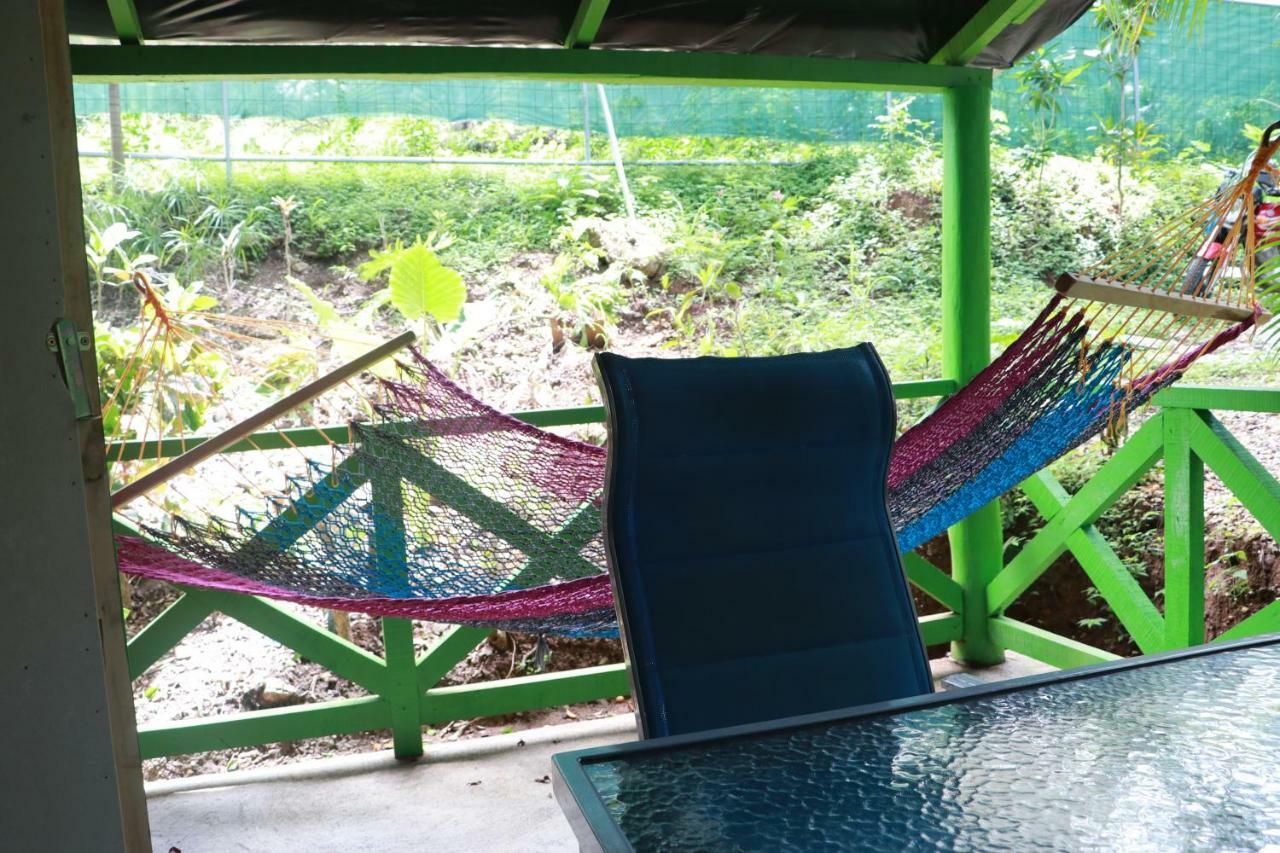 La Tropicale Samara